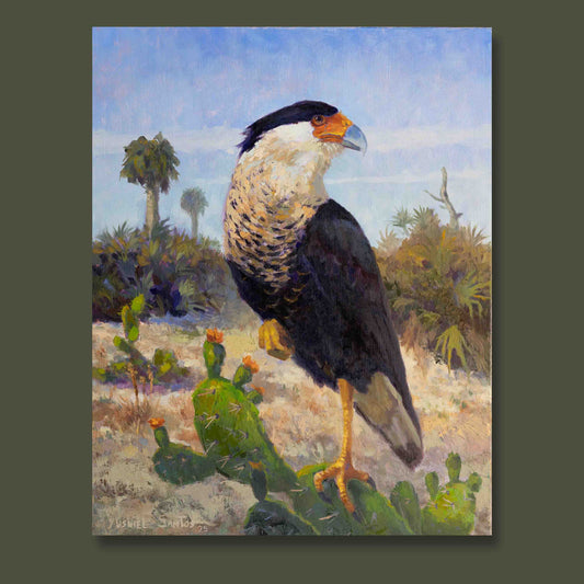 cara cara bird standing on cactus.
