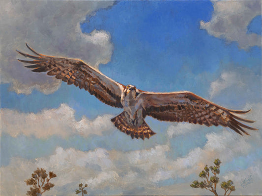 Oil painting of an Osprey in flight over a blue cloudy sky.