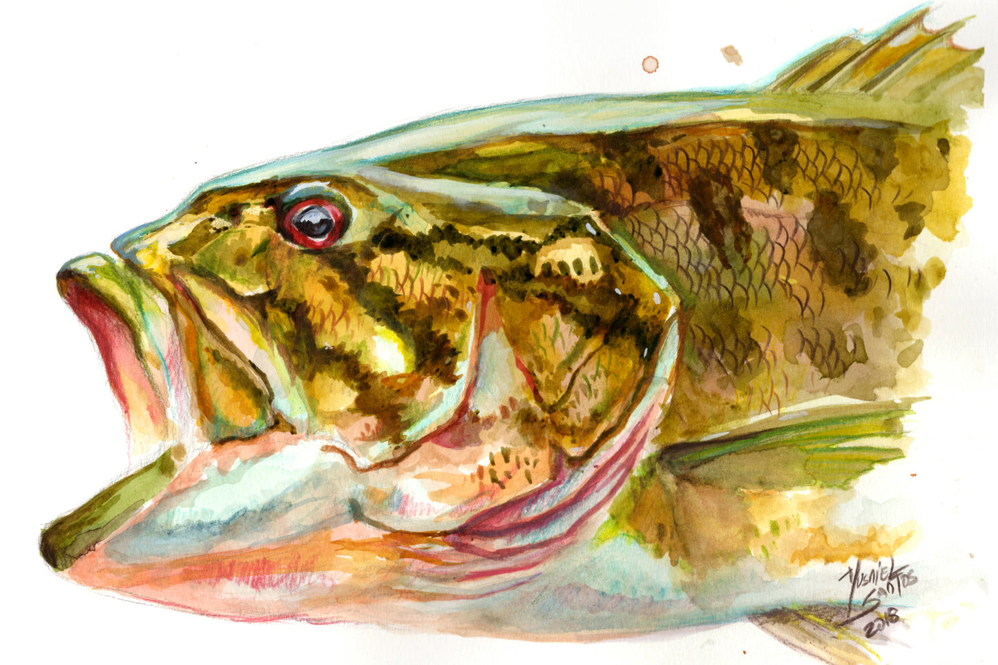 Small Mouth