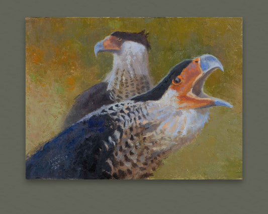 crested caracaras oil painting 
