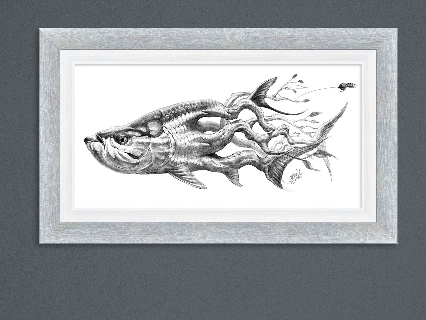 Tarpon Mangrove Framed Print