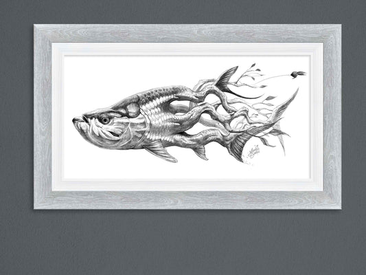 Tarpon Mangrove Framed Print