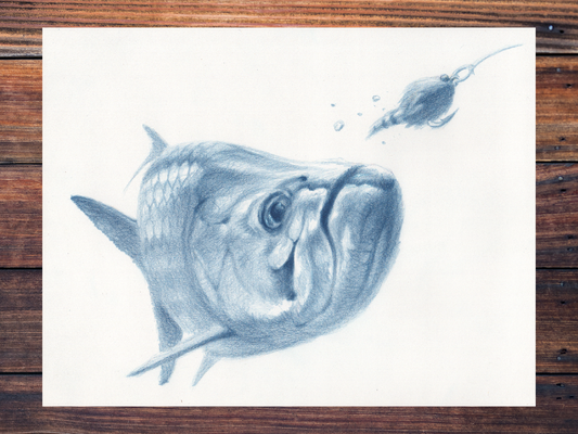 Tarpon Drawing / Original