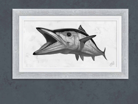 wahoo fish framed print with light gray frame 